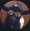 Squirrel22 – SPS – Discord